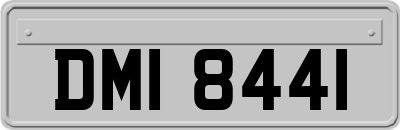 DMI8441