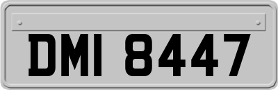 DMI8447
