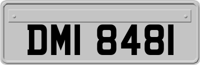 DMI8481