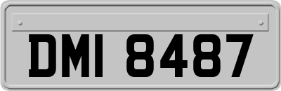 DMI8487