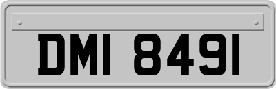 DMI8491