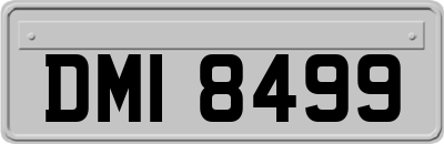 DMI8499