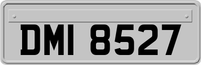 DMI8527