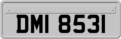 DMI8531