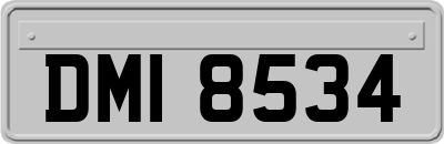 DMI8534