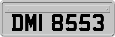 DMI8553