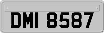 DMI8587