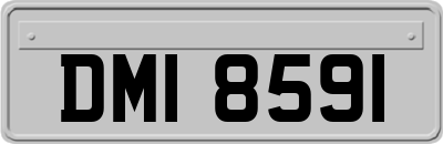 DMI8591