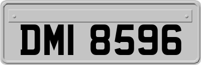 DMI8596