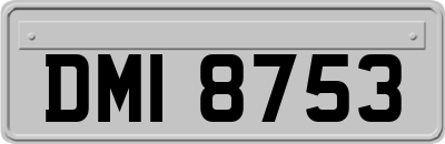 DMI8753