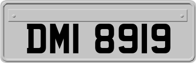 DMI8919
