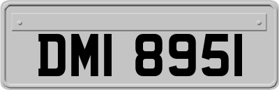 DMI8951