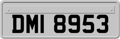 DMI8953