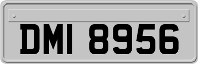 DMI8956