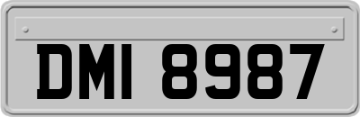 DMI8987