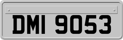 DMI9053