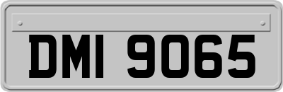 DMI9065