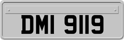 DMI9119
