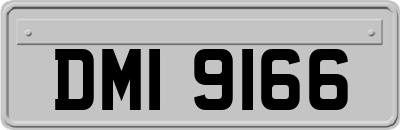 DMI9166