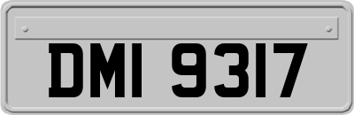 DMI9317