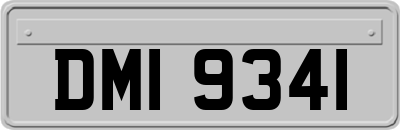 DMI9341