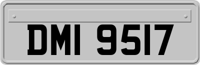 DMI9517