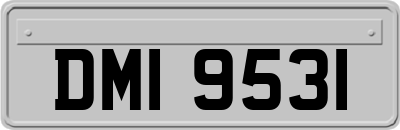 DMI9531