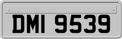 DMI9539