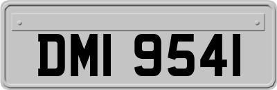 DMI9541