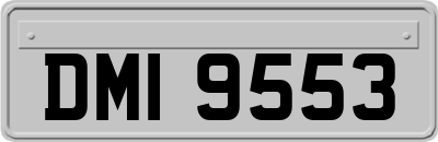 DMI9553