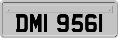 DMI9561