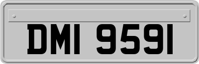 DMI9591