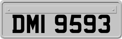 DMI9593