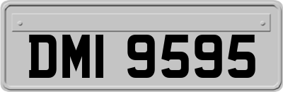 DMI9595