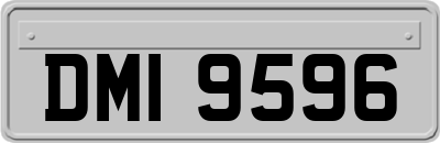 DMI9596
