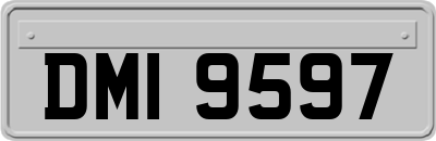 DMI9597