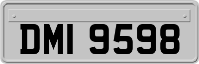 DMI9598