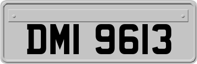DMI9613