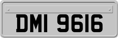 DMI9616