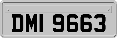 DMI9663