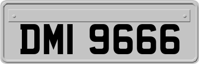 DMI9666
