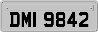 DMI9842