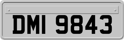 DMI9843