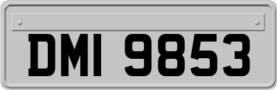 DMI9853