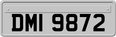 DMI9872