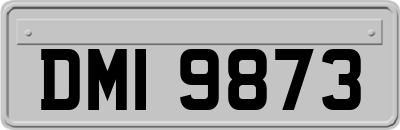 DMI9873