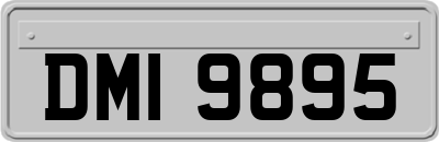 DMI9895