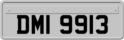 DMI9913