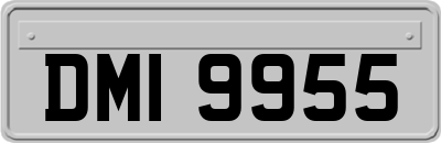DMI9955