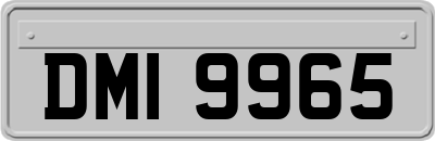 DMI9965